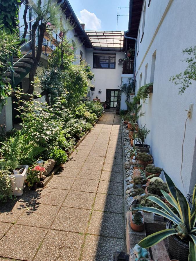Appartement Roiss Podersdorf am See Zewnętrze zdjęcie